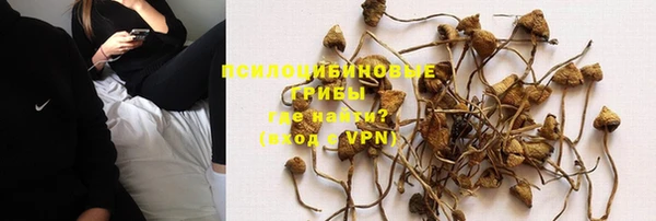 каннабис Алексеевка