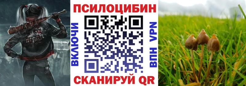 Купить где  Воронеж  Галлюциногенные грибы GOLDEN TEACHER 